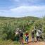 CCDR NORTE participou na AGROECOLOGY Summer School 2026