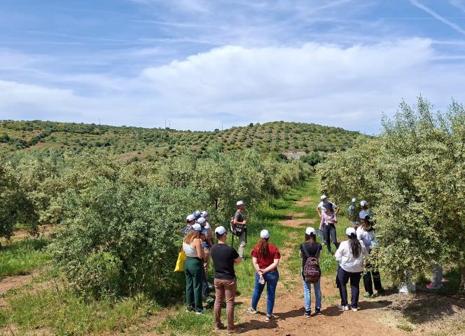 CCDR NORTE participou na AGROECOLOGY Summer School 2026