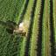 NORTE 2030 apoia contratação de quadros qualificados para reforçar cooperativas agrícolas do interior
