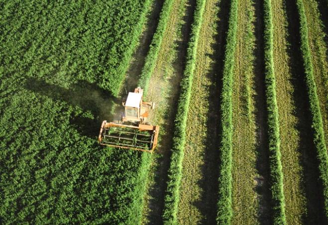 NORTE 2030 apoia contratação de quadros qualificados para reforçar cooperativas agrícolas do interi...