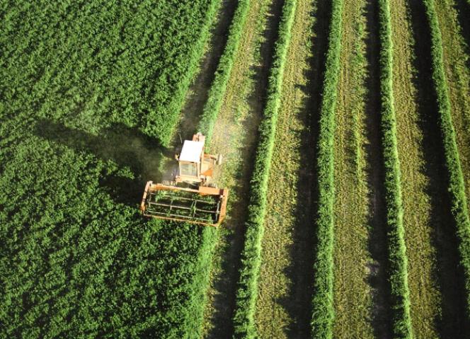 NORTE 2030 apoia contratação de quadros qualificados para reforçar cooperativas agrícolas do interior