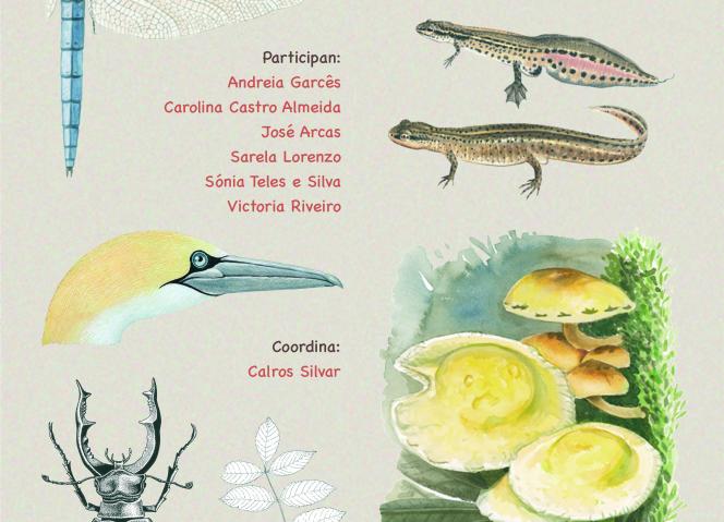"Ilustração da Natureza" é o lema da residência artística Nortear Ilustrado