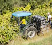 Comissão Europeia lança inquérito para agricultores sobre simplificação administrativa da PAC