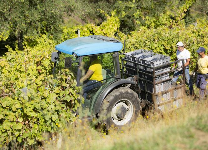 Comissão Europeia lança inquérito para agricultores sobre simplificação administrativa da PAC