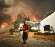 Abertas candidaturas a apoios à habitação para famílias afetadas pelos incêndios rurais