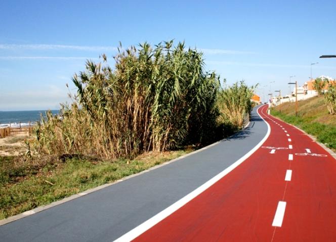 CCDR-N promove seminário “Mais Bicicletas, Melhores Cidades”