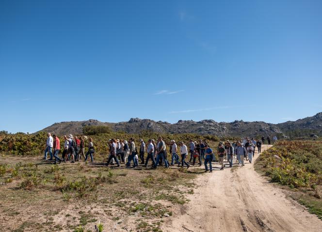 "Sem pastores não há biodiversidade": pastagens e pastoreio são aliados da biodiversidade e do futuro dos territórios de montanha