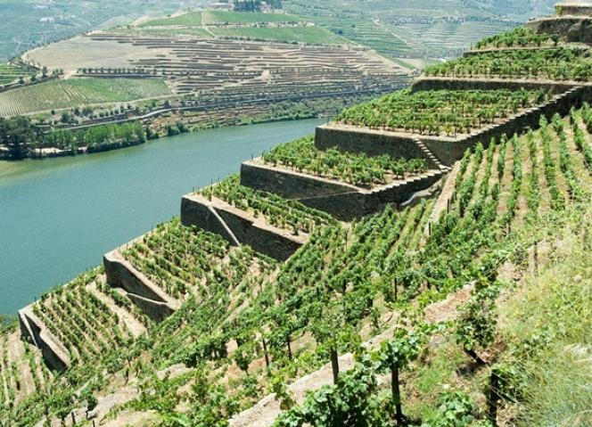 Desenvolvimento do Douro e Trás-os-Montes em debate