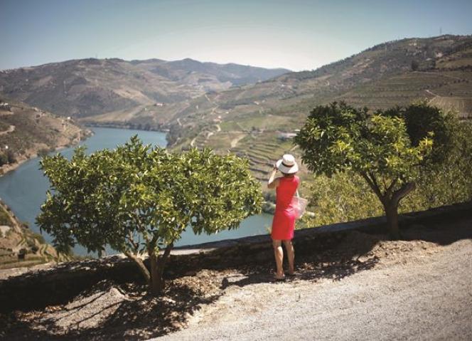 CCDR-N leva boas práticas vitivinícolas do Alto Douro Vinhateiro à EXPO 2015