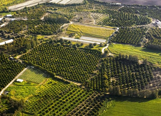 O Desafio Regional da Propriedade - Sistemas de Informação Geográfica (SIG)