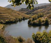 CCDR NORTE integra elaboração do Plano para reforçar a Competitividade e Sustentabilidade do Douro