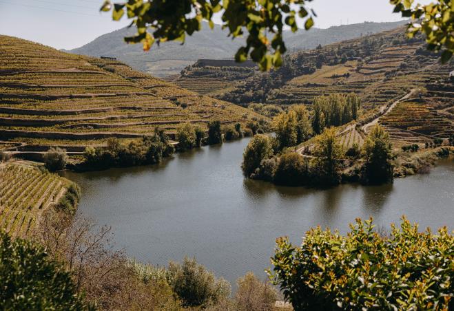 CCDR NORTE integra elaboração do Plano para reforçar a Competitividade e Sustentabilidade do Douro