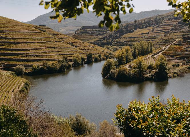 CCDR NORTE integra elaboração do Plano para reforçar a Competitividade e Sustentabilidade do Douro