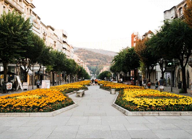 Braga é Capital Portuguesa da Cultura em 2025