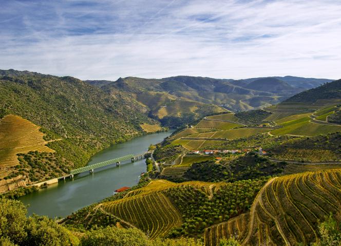 Norte reúne-se em Mesão Frio para pensar o Alto Douro Vinhateiro