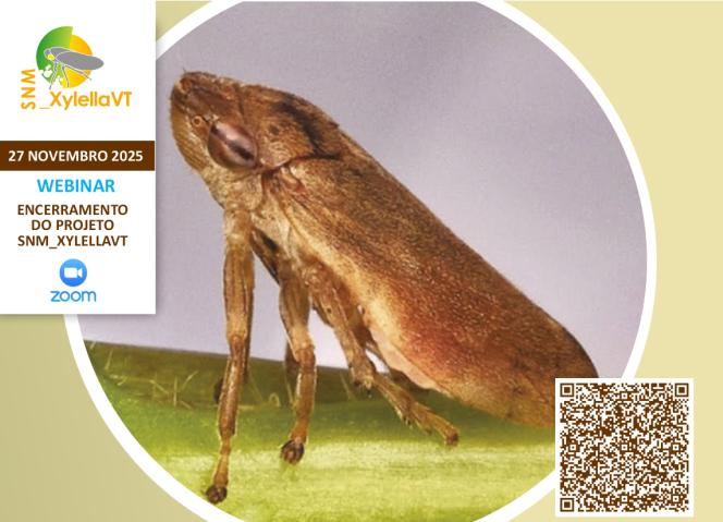 Webinar de Encerramento do Projeto SNM_XylellaVT