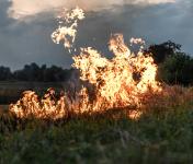 A Linha de Apoio à Tesouraria | Incêndios 2025