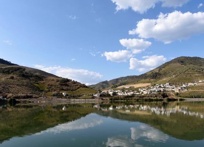 Reconversão da vinha no Alto Douro Vinhateiro com forte dinâmica na última década